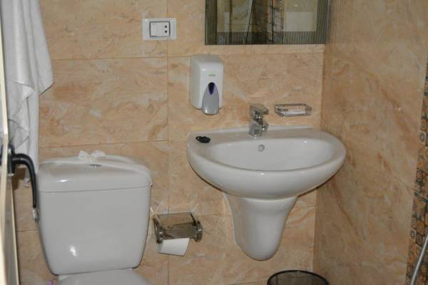 Deluxe Double or Twin Room with City View